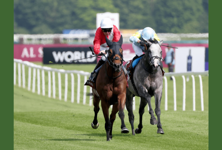 record-world-pool-turnover-on-lockinge-stakes-day-at-newbury