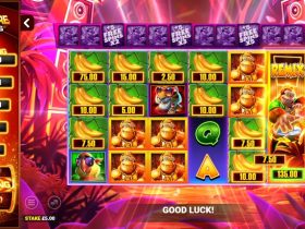 blueprint-gaming-drops-beats-and-big-wins-as-rapid-fire-jackpots-debuts-in-king-kong-cash-dj-prime8
