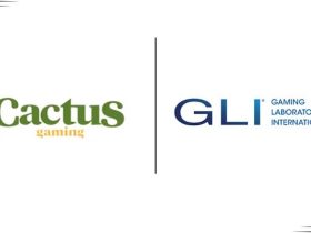 cactus-gaming-obtains-gli-certificates-brazilian-company-receives-certification-at-the-highest-level.