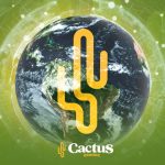 paraiba-approves-cactus-gaming-technology