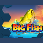 swintt-prepares-to-make-waves-with-new-big-fish-slot