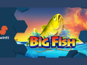 swintt-prepares-to-make-waves-with-new-big-fish-slot