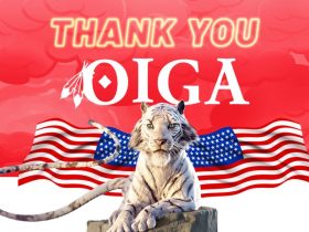 fbm-slots-delight-casino-enthusiasts-at-oiga-trade-show