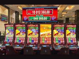 star-casino-in-kampala:-the-next-successful-collaboration-between-egt-and-gaming-iq-in-africa