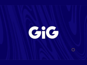 gaming-innovation-group-reports-q2-2024