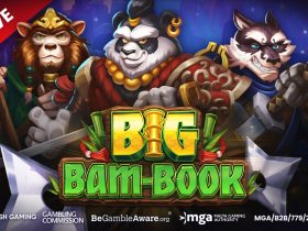push-gaming-opens-a-new-martial-arts-chapter-in-big-bam-book