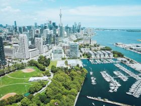 netgaming-enters-ontario-igaming-market