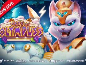 push-gaming-unleashes-divine-felines-in-cats-of-olympuss
