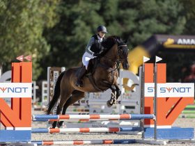 synot-group-and-synot-foundation-support-equestrian-sport