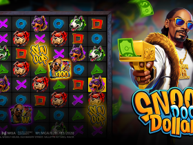 bgaming-releases-first-ever-celebrity-branded-slot-snoop-doggy-dollars
