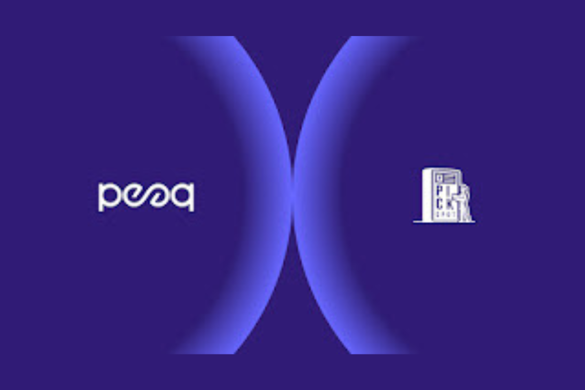 Pickspot joins peaq to solve the last-mile delivery challenge in Africa  with a DePIN of smart parcel lockers - News, Events, Advertising Options