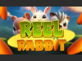 holle-games-are-“all-ears”-for-reel-rabbit