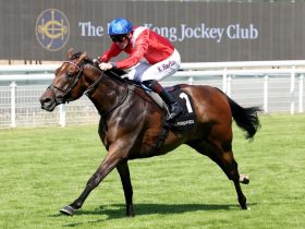 world-pool-contribution-to-british-and-irish-racecourses-hits-50-million