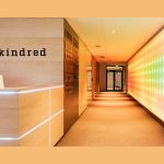 kindred’s-journey-towards-zero:-an-increase-in-q3-revenue-from-high-risk-players