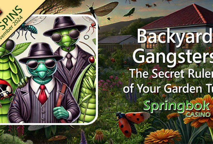 springbok-casino’s-wild-november-feature-‘backyard-gangsters’-offers-25-free-spins-on-new-clue-chronicles:-mirror-mansion-slot
