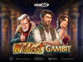 play’n-go-recruits-the-entire-wilde-family-for-their-latest-adventure,-wildest-gambit