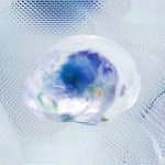 Pioneering the Future of Brain-Machine Interfaces and Neurotechnology