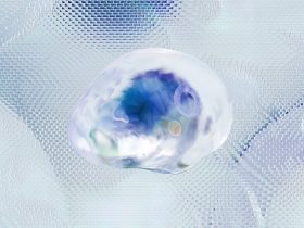 Pioneering the Future of Brain-Machine Interfaces and Neurotechnology