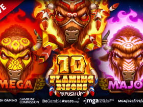 push-gaming-ignites-the-reels-with-10-flaming-bisons