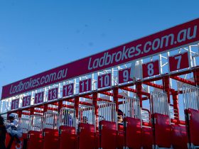 austrac-takes-ladbrokes-and-neds’-operator-–-entain-–-to-federal-court-over-serious-non-compliance-with-australia’s-money-laundering-laws