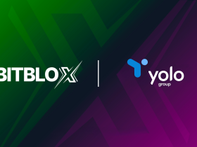 bitblox-receives-backing-from-yolo-investments
