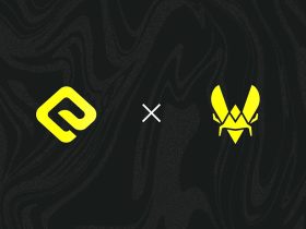 team-vitality-and-skin.club-support-the-second-edition-of-the-elite-fe-tournament-on-cs2