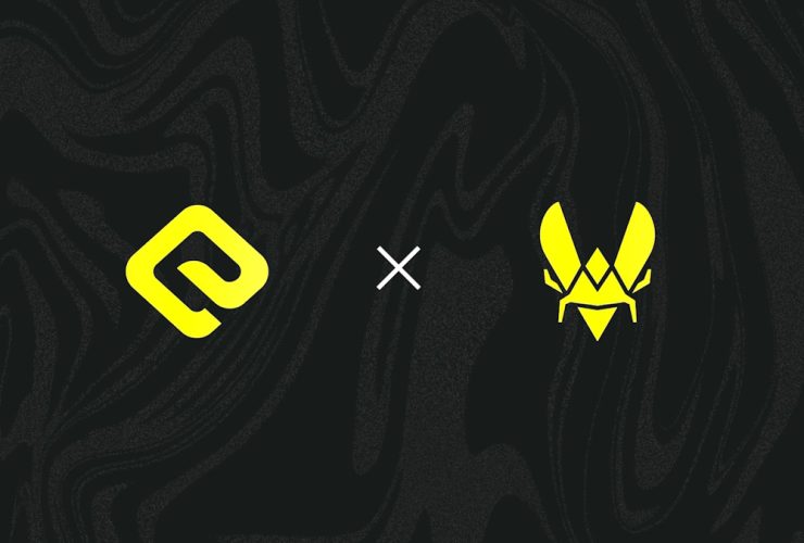 team-vitality-and-skin.club-support-the-second-edition-of-the-elite-fe-tournament-on-cs2
