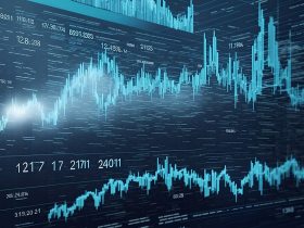 cryptocurrency-expert-jamie-bungaree-warns-about-dangers-of-meme-coins