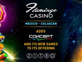 flamingo-casino-in-mexico-adds-concept-to-its-entertainment-offering