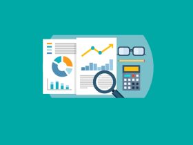 flexion-reports-revenue-increase-of-9%-for-2024