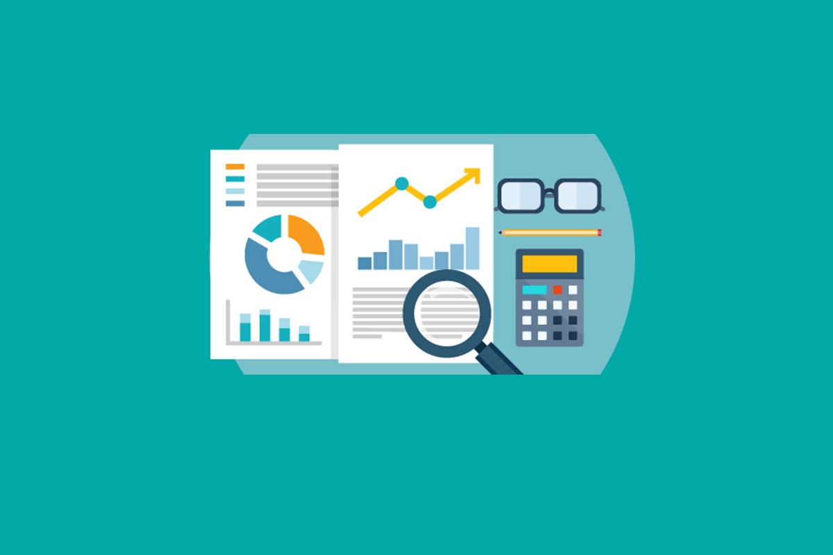 flexion-reports-revenue-increase-of-9%-for-2024