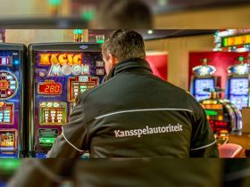 dutch-gaming-authority-once-again-supports-information-projects-on-gambling-risks
