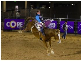 tickets-on-sale-for-helldorado-days-rodeo-at-the-plaza-hotel-&-casino’s-core-arena,-friday,-nov-7-and-saturday,-nov.-8