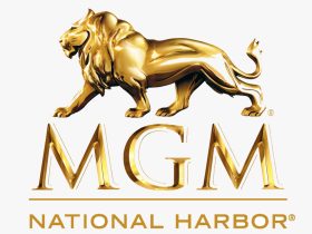 potomac-poker-open-returns-to-mgm-national-harbor-august-13-25