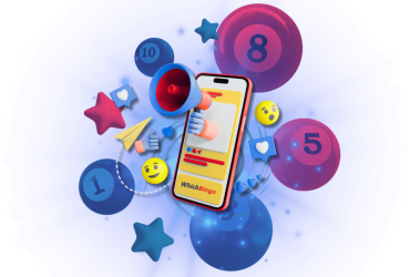 whichbingo-players-survey-2025