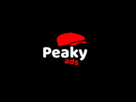 ceo-of-media24-interviewed:-industry-scams,-business-insights-and-seo