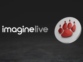 qtech-games-fine-tunes-its-live-casino-suite-with-imagine-live
