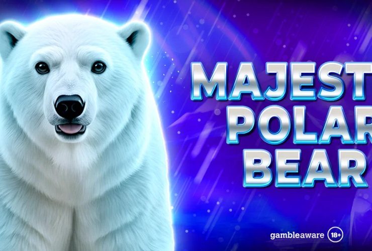 spinomenal-releases-wintery-wonder:-majestic-polar-bear