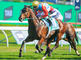 world-pool-2025:-record-hk$10.9bn-turnover-signals-global-racing-maturity