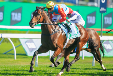 world-pool-2025:-record-hk$10.9bn-turnover-signals-global-racing-maturity