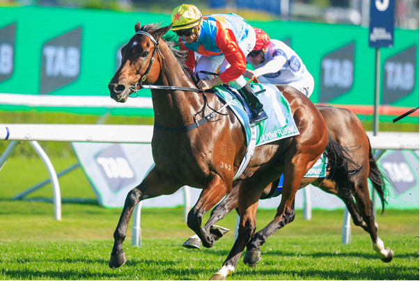 world-pool-2025:-record-hk$10.9bn-turnover-signals-global-racing-maturity