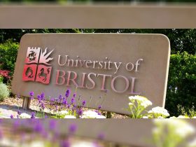 university-of-bristol-graduates-create-toolkit-to-help-students-avoid-gambling-harms