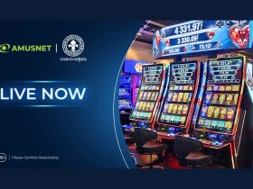 amusnet-introduces-its-“jackpot-cards-plus”-island-at-casino-adjara