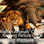 springbokcasinoco.za-reveals-‘wild-oscars’-winners-and-25-free-spins-on-oz-golden-trail