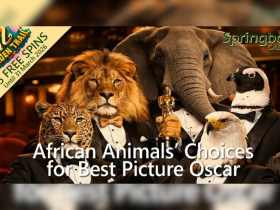 springbokcasinoco.za-reveals-‘wild-oscars’-winners-and-25-free-spins-on-oz-golden-trail