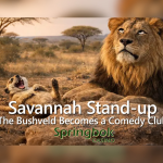 springbokcasinoco.za-presents-‘savanna-stand-up’-this-‘funny-april’-—-with-25-free-spins-on-devil’s-jackpot