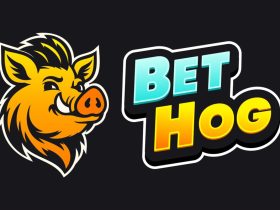 bethog-raises-e8.5m-in-series-a-funding-round-to-roll-out-ai-live-dealer-platform