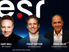 esr-group-appoints-doftvik,-nall-and-delin-as-non-executive-directors