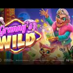 play’n-go-releases-its-latest-video-slot-granny’s-wild