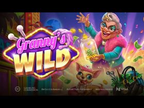 play’n-go-releases-its-latest-video-slot-granny’s-wild